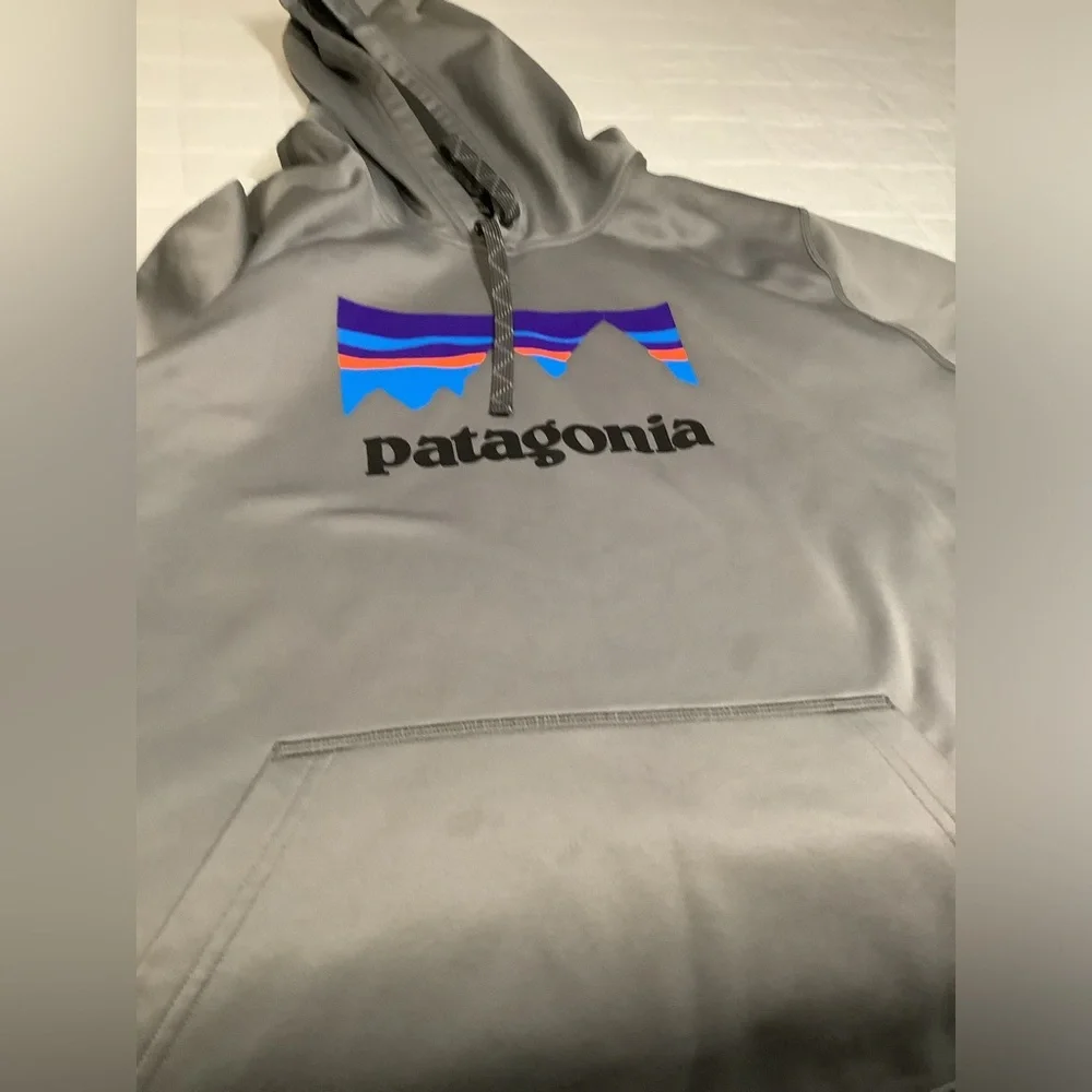 Patagonia Mens Xl Hoodie